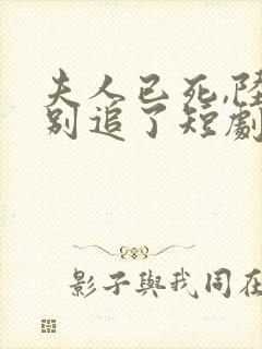 夫人已死,陆总别追了短剧全集