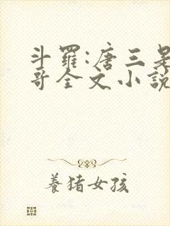 斗罗:唐三是我哥全文小说