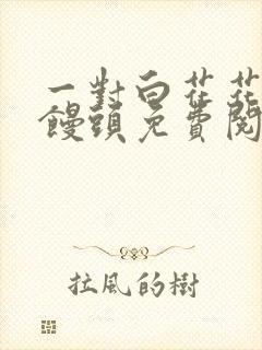 一对白花花的大馒头免费阅读