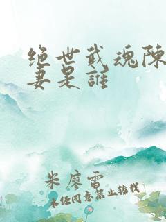 绝世武魂陈枫正妻是谁