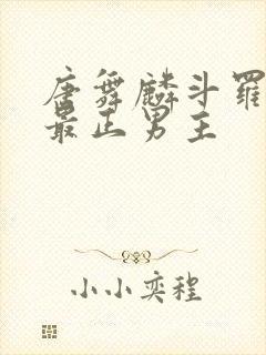 唐舞麟斗罗三观最正男主