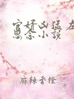 官婿凶猛 左耳思念小说