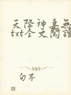天降神妻无删减txt全文阅读下载