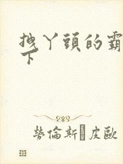 拽丫头的霸道殿下