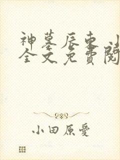 神墓辰东 小说全文免费阅读