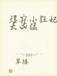 爆宠小狂妃皇叔太凶猛