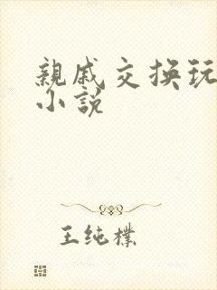 亲戚交换玩美妇小说