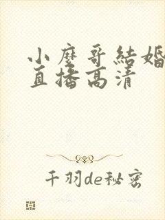 小么哥结婚视频直播高清