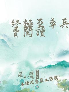 终极至尊兵王免费阅读