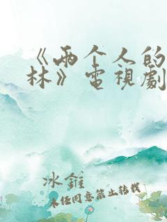 《两个人的小森林》电视剧免费