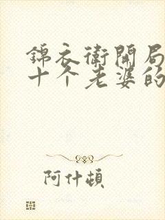 锦衣卫开局娶了十个老婆的小说