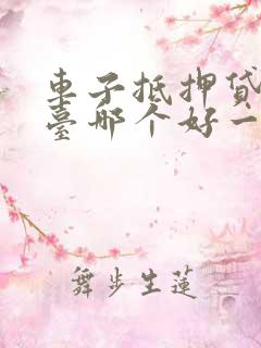 车子抵押贷款平台哪个好一点