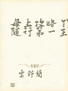 母上攻略 竹影随行第一主板