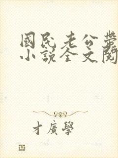 国民老公带回家小说全文阅读