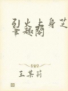 引火上身芝麻糖笔趣阁