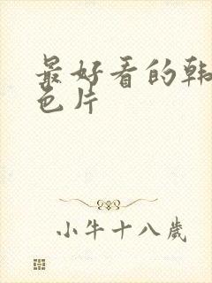 最好看的韩国情色片