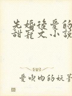 先婚后爱的古言甜宠文小说