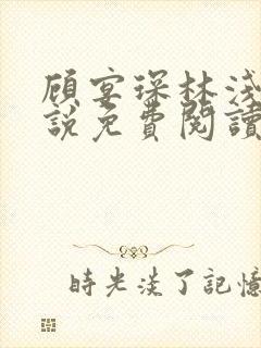 顾宴琛林浅月小说免费阅读最新章节