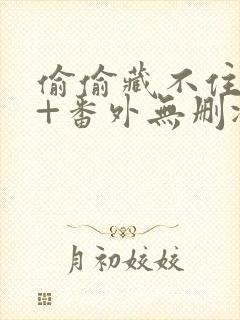 偷偷藏不住全文+番外无删减