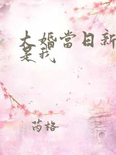 大婚当日新娘不是我