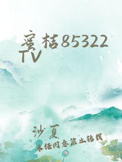 蜜桔85322TV