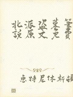 北派盗墓笔记小说原文免费阅读