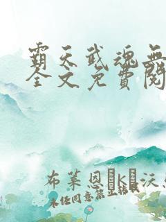 霸天武魂无弹窗全文免费阅读