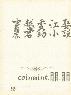 穿越香江娶了邓丽君的小说