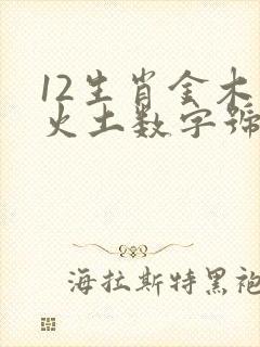 12生肖金木水火土数字号码表