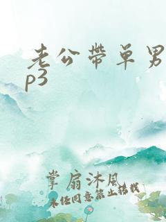 老公带单男回来p3