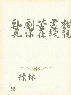 韩剧苦尽柑来遇见你在线观看免费高清