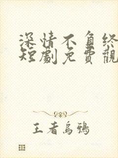 深情不负终遇你短剧免费观看