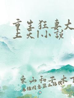 重生狂妻大佬宠上天l小说