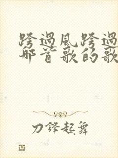 跨过风跨过雨是哪首歌的歌词