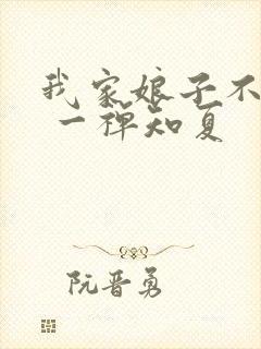 我家娘子不对劲 一禅知夏