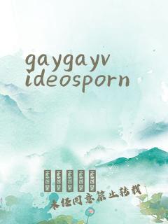 gaygayvideosporn