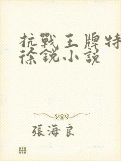 抗战王牌特种兵徐锐小说