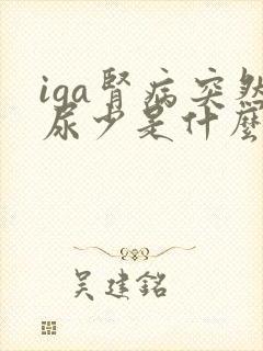 iga肾病突然尿少是什么原因