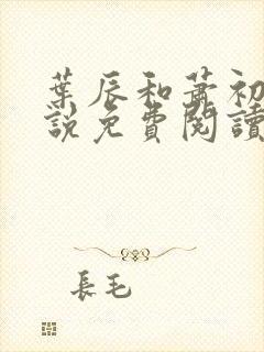 叶辰和萧初然小说免费阅读