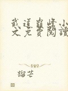 武道巅峰小说全文免费阅读