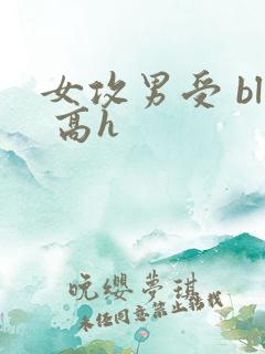 女攻男受 bl 高h