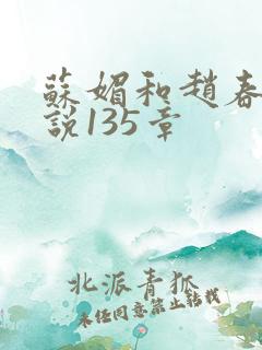 苏媚和赵春城小说135章