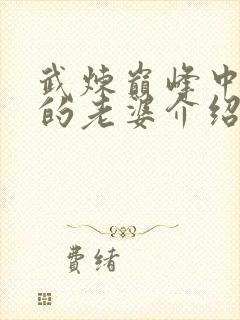 武炼巅峰中杨开的老婆介绍