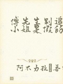 傅先生别追了大小姐是假的连续剧