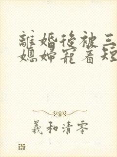 离婚后被三个儿媳妇宠着短剧全集