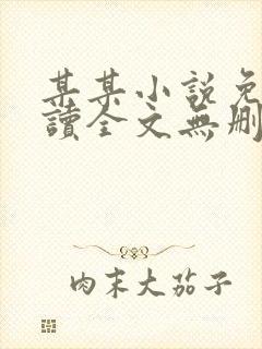 某某小说免费阅读全文无删减版