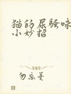 猫的尿骚味去除小妙招