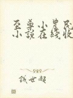 至尊小农民有声小说在线收听