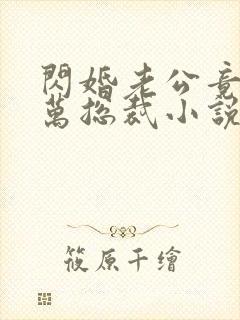 闪婚老公竟是亿万总裁小说小说