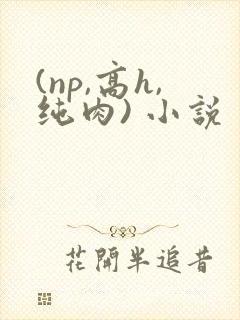 (np,高h,纯肉) 小说
